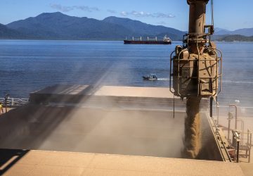 Nos cinco primeiros meses, portos do Paraná têm alta de 14% na descarga de fertilizantes