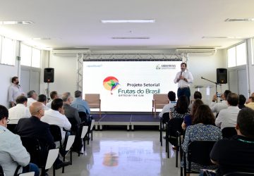 ApexBrasil e Abrafrutas lançam programa para ampliar exportações do setor de fruticultura do Brasil