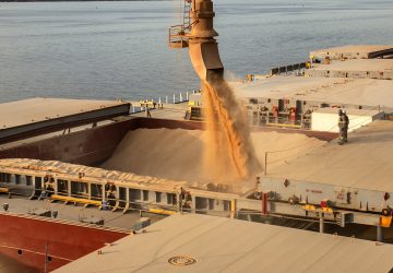 Porto de Paranaguá prevê exportar 6,6 milhões de toneladas de grãos e farelo de soja até o final do ano
