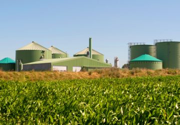 BNDES aprova R$ 80 milhões via Fundo Clima para construção de unidade produtora de biogás e energia elétrica em Mato Grosso