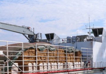 Porto de Imbituba exporta 3.595 bois vivos para a Turquia