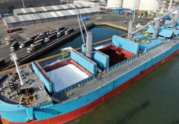 Com novo recorde, exportações no Porto de São Francisco do Sul aumentam 60%