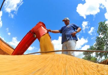 Exportações de MS crescem 17,4% em janeiro com destaque para celulose, soja e minério de ferro