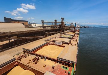 China recebe 91,8% da exportação de soja movimentada no Porto de Paranaguá