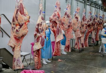 Reunião discute viabilizar a exportação da carne bovina de Rondônia pelo rio Madeira