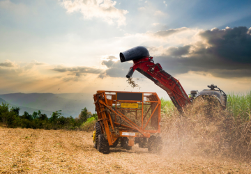 Exportações do agronegócio brasileiro atingem US$ 15,20 bi em junho e US$ 82,39 bi no semestre