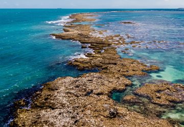 Autoridade Portuária da Bahia firma parceria para recuperação de recifes de corais nos portos da Bahia