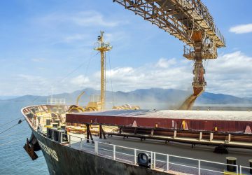 Exportações de soja, açúcar, combustíveis e frango batem recorde no Paraná em 2024