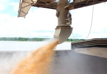 Exportação de soja impulsiona aumento na movimentação de cargas no Porto de Porto Velho