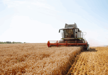 Crescimento da economia brasileira é impulsionado pelo agro no primeiro trimestre