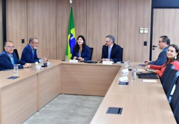 Ministério de Portos e Aeroportos e Serpro debatem implantação de embarque biométrico em terminais