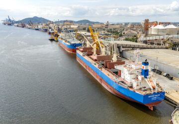 Porto de Paranaguá registra maior operação de cevada em um único navio